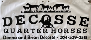 Decosse logo