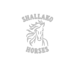 Shallako logo